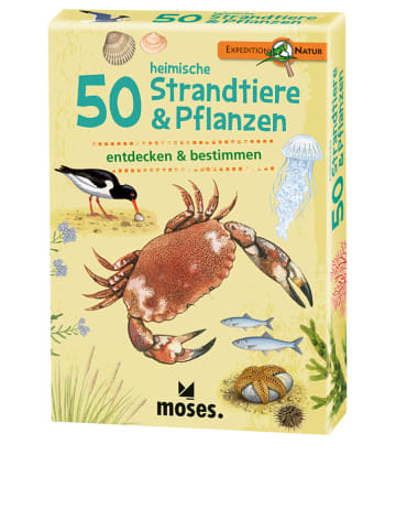 moses. Kartenset "50 heimische Strandtiere & Pflanzen" - ab 6 Jahren