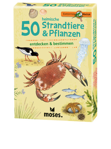 Verlag Kartenset "50 heimische Strandtiere & Pflanzen" - ab 6 Jahren