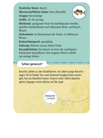 moses. Kartenset "50 heimische Strandtiere & Pflanzen" - ab 6 Jahren