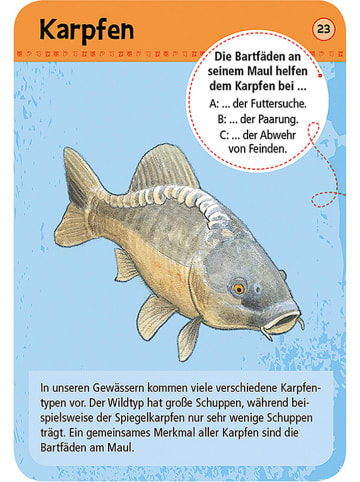 moses. Kartenset "50 heimische Tiere & Pflanzen an Bach & Teich" - ab 6 Jahren