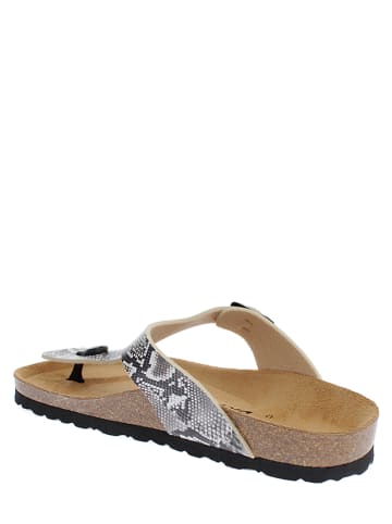 BAYTON Zehentrenner "Mercure" in Braun/ Beige