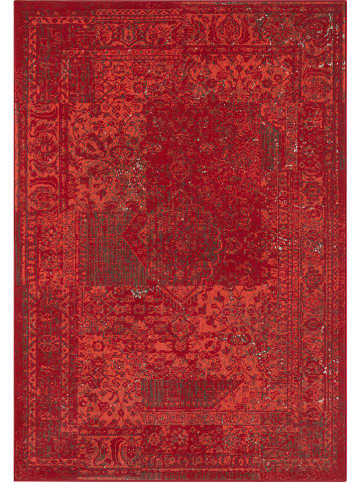 Hanse Home Laagpolig tapijt "Plume" rood