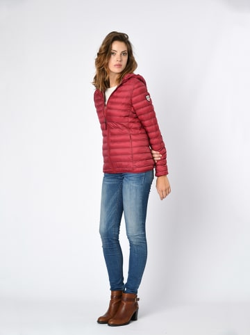 Northwood Übergangsjacke in Bordeaux