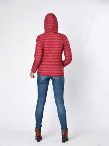 Northwood Übergangsjacke in Bordeaux