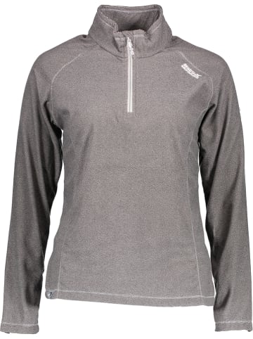Regatta Fleecepullover "Montes" in Grau