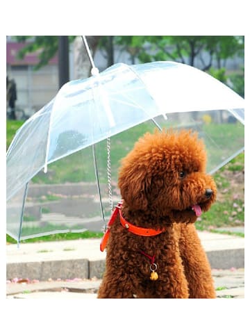 Le Monde du Parapluie Hunde-Regenschirm in Transparent - Ø 69 cm