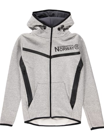 Geographical Norway Sweatvest "Guvex" grijs