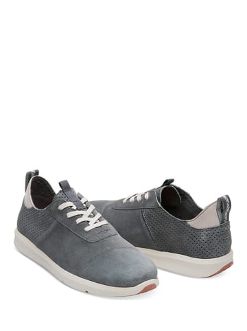 TOMS Leder-Sneakers in Grau