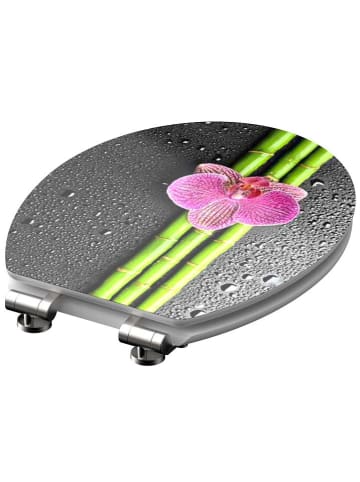Schütte Toiletbril met softclose "Asia" grijs