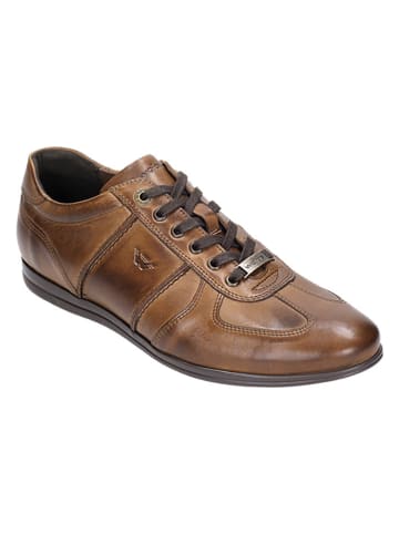 Wojas Leder-Schnürschuhe in Braun