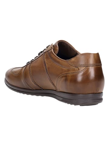 Wojas Leder-Schnürschuhe in Braun