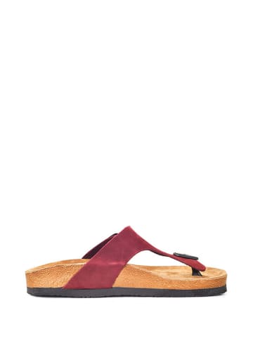 Moosefield Leren teenslippers bordeaux