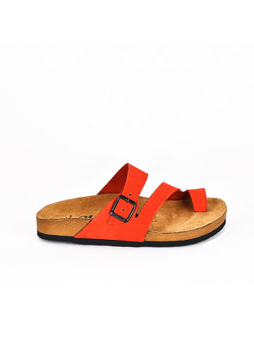 Moosefield Leder-Pantoletten in Rot