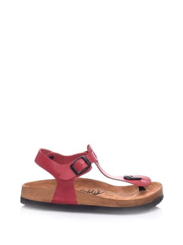 Moosefield Leren sandalen rood
