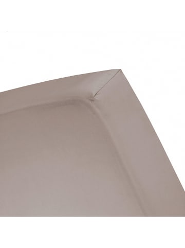 Cinderella Jersey-Topper-Spannbettlaken in Taupe