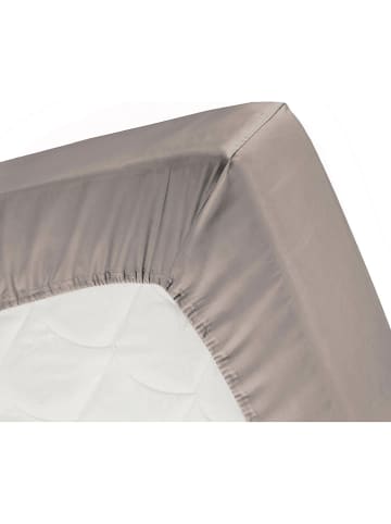 Cinderella Jersey-Topper-Spannbettlaken in Taupe
