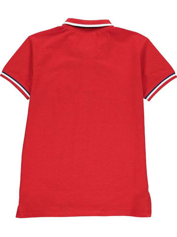 Peak Mountain Koszulka polo w kolorze czerwonym