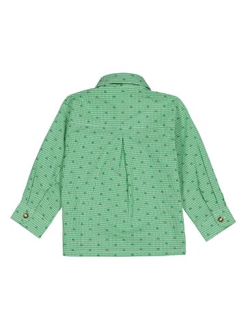 Isar-Trachten Trachtenhemd in Grün