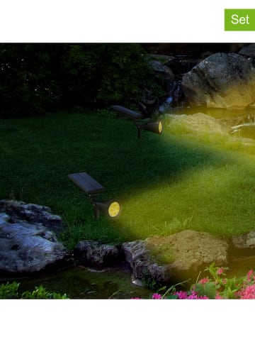 lumisky Solarna lampa LED (2 szt.) "Spiky" w kolorze czarnym - wys. 42 cm