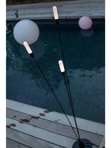 lumisky Staande ledlamp zwart - (H)162 cm