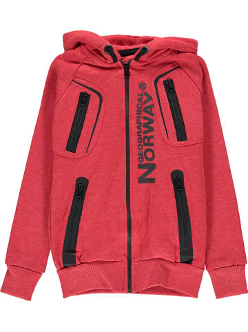 Geographical Norway Bluza "Gosepha" w kolorze czerwonym