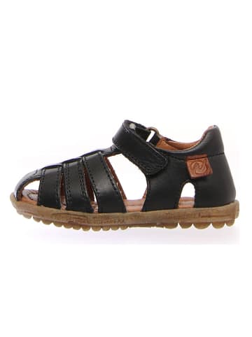 Naturino Leren enkelsandalen zwart
