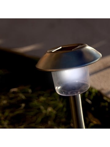 lumisky 8er-Set: LED-Solar-Gartenstecker "Alesia" in Silber - (H)39 cm