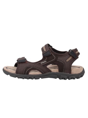 Geox Sandalen in Braun