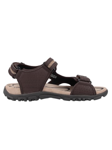 Geox Sandalen in Braun