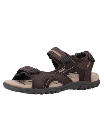 Geox Sandalen in Braun