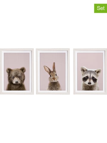 The Wild Hug 3-delige set: ingelijste afbeeldingen "Great Animals Pink" - (B)30 x (H)40 cm
