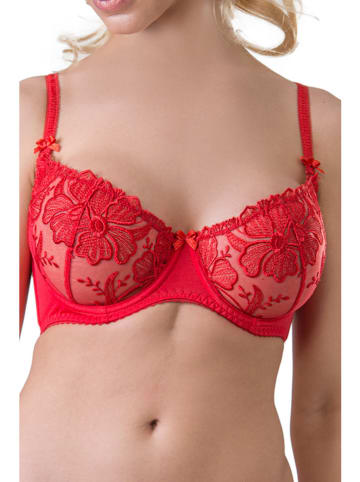 Valea Beugelbeha "Palmira" rood