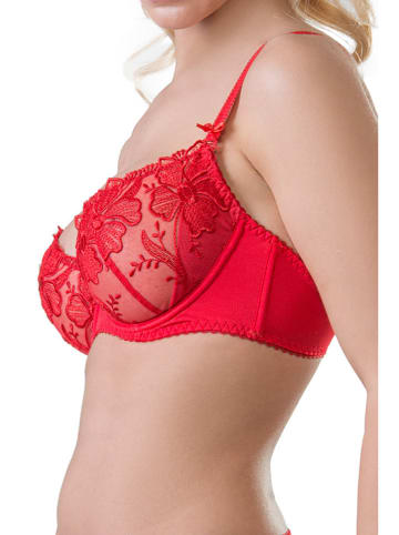 Valea Beugelbeha "Palmira" rood