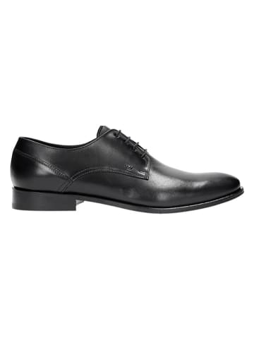 Wojas Leder-Schnürschuhe in Schwarz
