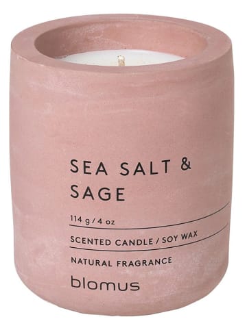 Blomus Świeca zapachowa - Sea Salt & Sage - (W)8 x Ø 6,5 cm