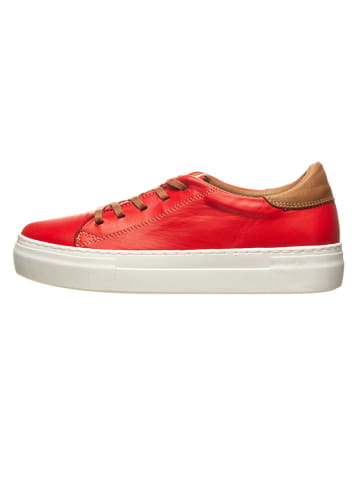 Andrea Conti Leren sneakers rood/lichtbruin