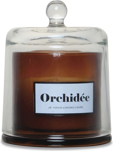 Deco Lorrie Geurkaars "Orchidee Blanche" bruin - 440 g