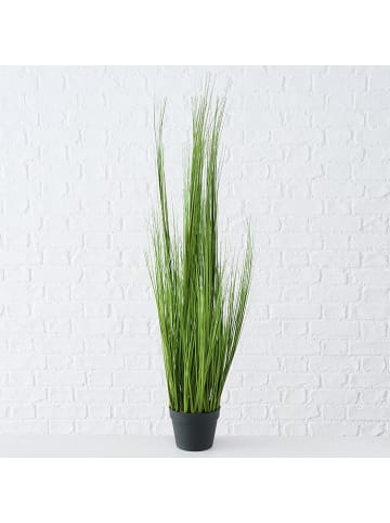 Boltze 2er-Set: Dekopflanzen "Gras" - (H)120 cm