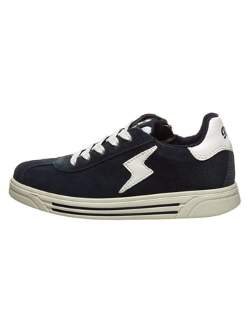 Primigi Leren sneakers donkerblauw
