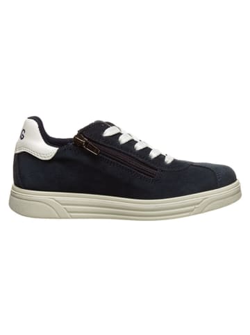 Primigi Leder-Sneakers in Dunkelblau