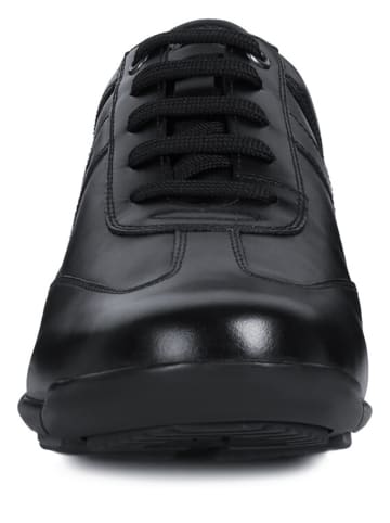 Geox Leren sneakers "Edgware" zwart