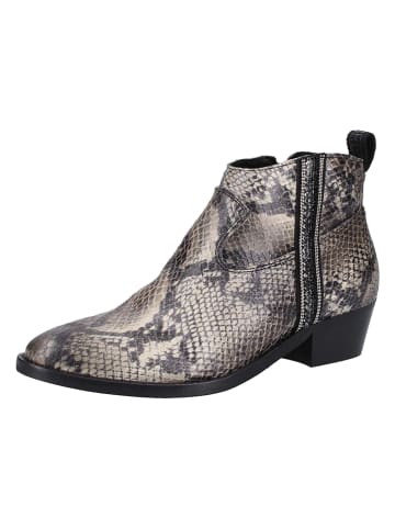 Replay Ankle-Boots in Grau