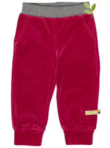 Loud + proud Sweathose in Rot
