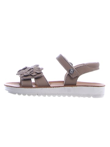 Naturino Leder-Sandalen "Amalfi" in Taupe