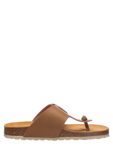 kmins woman Teenslippers lichtbruin