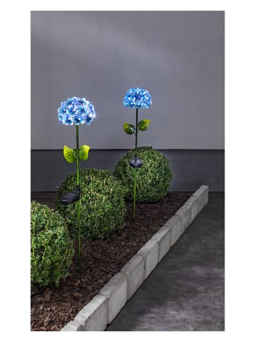 STAR Trading Solarne lampy ogrodowe LED "Hortensia" w kolorze niebieskim - wys. 77 cm