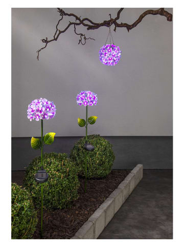 STAR Trading Solarna lampa ogrodowa LED "Hortensia" w kolorze fioletowym - wys. 77 cm