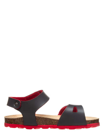 TREVIRGOLAZERO Sandalen in Blau/ Rot