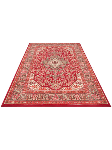 Hanse Home Kurzflor-Teppich "Skazar" in Rot