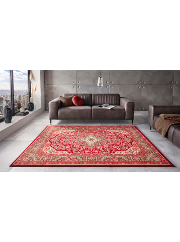 Hanse Home Kurzflor-Teppich "Skazar" in Rot